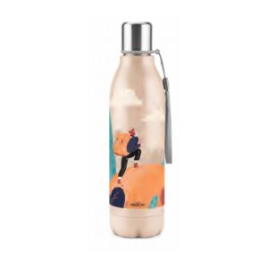 Artistic Insulated Stainless Steel Water Bottle (500ml)