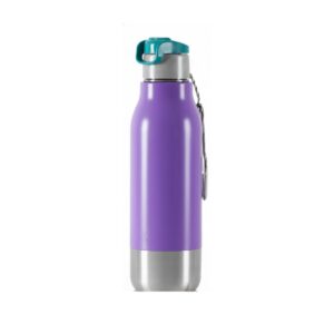 Steel Sprint Insulated Sport Bottle – Amethyst & Teal Edition