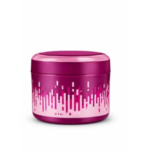 Big Bite Premium Insulated Leak-Proof Lunch Container