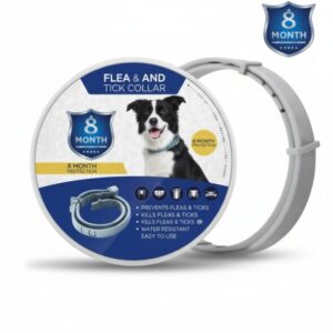 Dog Flea Collar