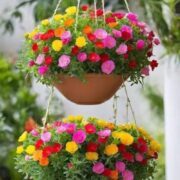 Untitled design (33)